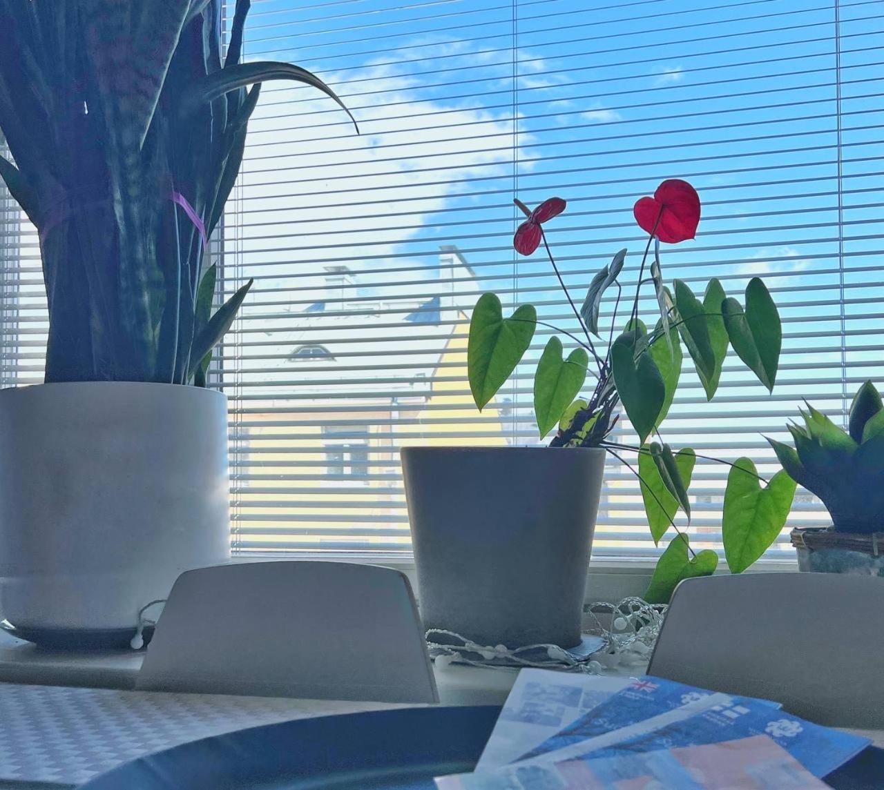 Scandinavian Desing Home 37 City Center In Kamppi 헬싱키 외부 사진